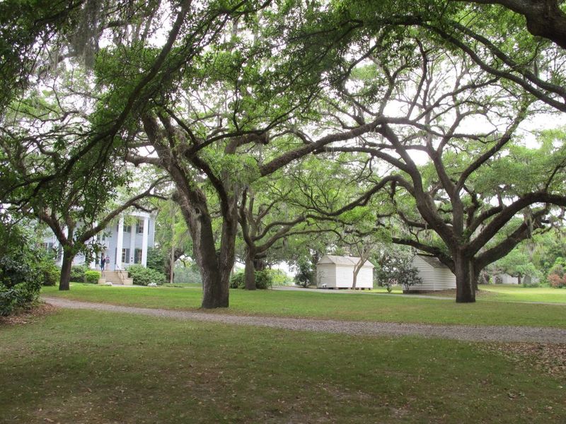 View of the main house and the slave cabins at McLeod Plantation