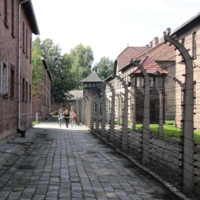 13448475-Auschwitz-One03.JPG