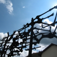 13448537-Dachau-Camp-Gounds-01.JPG