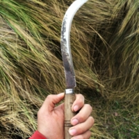 Sickle Tool, at the Community of Santa Lucia